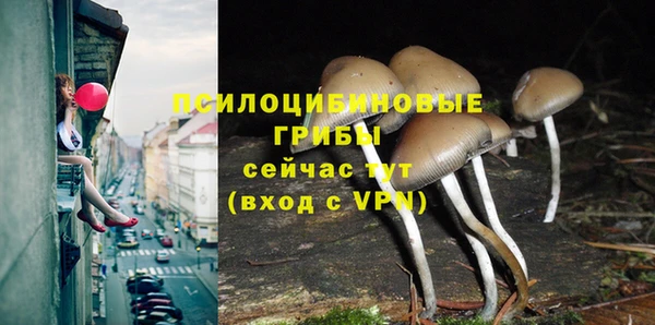 а пвп мука Мегион