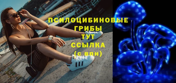 МДМА Медногорск