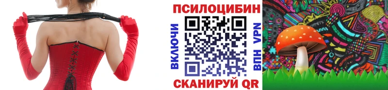 OMG маркетплейс  Павловск  Галлюциногенные грибы Psilocybine cubensis 