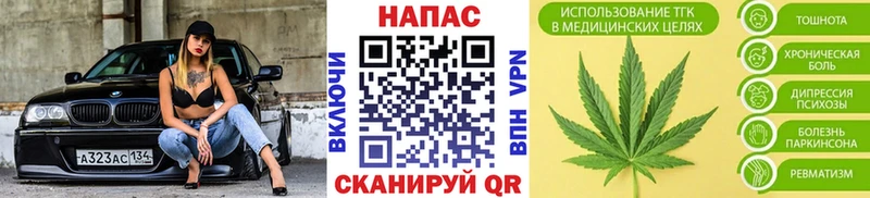 Каннабис план  Павловск 